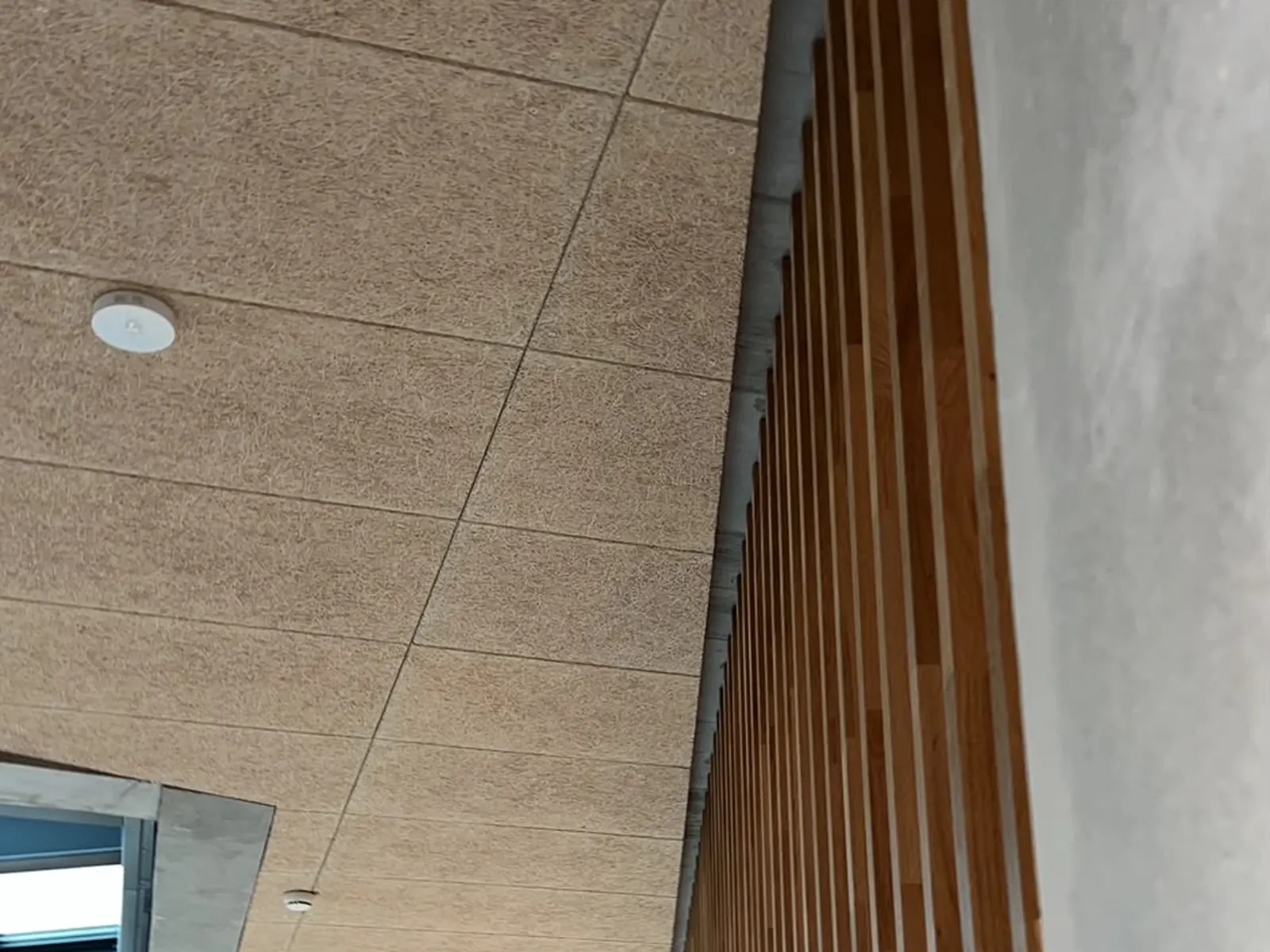 Circulation tertiaire avec plafond fibre de bois, cloisons peintes et luminaires encastrés
